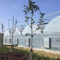 Serre pour légumes avec couverture en film, système de refroidissement et d'ombrage automatique, structure en acier galvanisé à chaud, marque Zhuotai