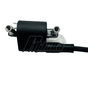 คอยล์จุดระเบิดรถจักรยานยนต์ชิ้นส่วนรถจักรยานยนต์ชุดแรงดันสูงสำหรับ <span class=keywords><strong>TRK251</strong></span> BJ250ของ <span class=keywords><strong>Benelli</strong></span> - Product Image 2