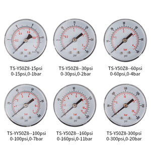 Manomètre axial 0-30psi 0-2bar 1/8 BSPT personnalisable <span class=keywords><strong>de</strong></span> haute qualité - Product Image 5
