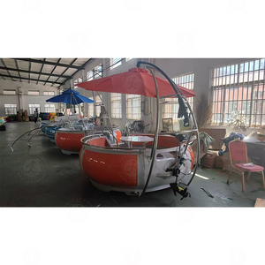 <span class=keywords><strong>2025</strong></span> hợp thời trang tùy chỉnh ngoài trời Donut BBQ thuyền cho nước giải trí bên và nước chơi giải trí - Product Image 6