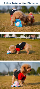 Fabricante Chino al por Mayor de Juguetes para Perros Personalizables y Adorables, Juguetes de Peluche para Perros Tibetanos para Masticar - Product Image 5