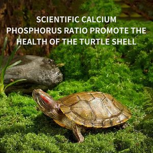 High-Protein High-Nutrition <span class=keywords><strong>Aquatic</strong></span> <span class=keywords><strong>Turtle</strong></span> <span class=keywords><strong>Food</strong></span> Factory Atacado com amostras grátis Pet <span class=keywords><strong>Food</strong></span> especial para tartarugas - Product Image 5