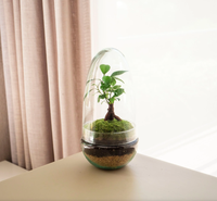 Terrarium en verre borosilicate transparent pour bonsaï, bouteille en verre à dôme en deux parties, kit de jardinage DIY, soufflé à la main, 100% fait main, écologique