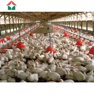 Prefab Steel Structure Low Price Chicken House Design Broiler Chicken Shed House