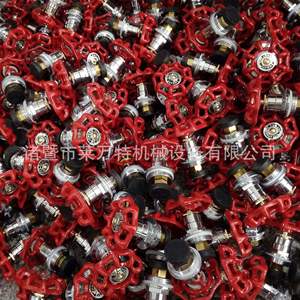 Noyau de vanne de levage PPR, raccords de vanne pour tuyaux d'eau en PE, connecteurs de tuyaux d'eau, noyau en cuivre 20-110, produit de mise à niveau, corps de vanne - Product Image 2