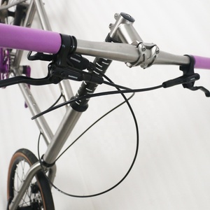 Bicicleta de Titanio Titanium Street Disc de 11 Velocidades 406, Bicicleta de Titanio 451, Mini Bicicleta - Product Image 4