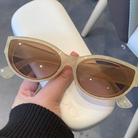 Lunettes De Soleil Rétro Y2K Monture Léopard avec Logo Personnalisé Pc Oeil de Chat Nuances Classiques Noires Gafas De Sol