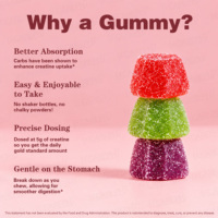 Gummies de créatine monohydrate OEM en gros – Complément énergétique pour la composition corporelle et le soutien musculaire maigre