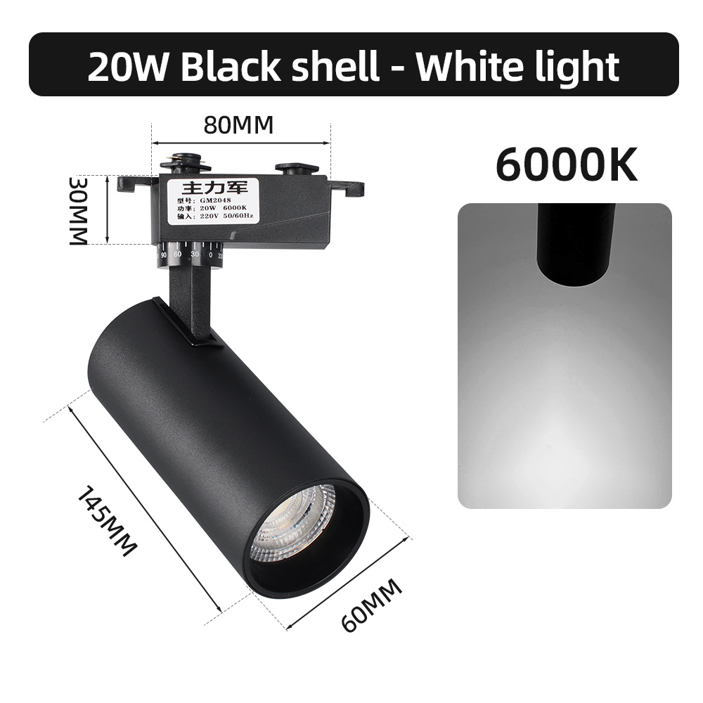 20W Noir -6000K