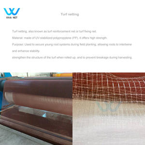 Filet <span class=keywords><strong>de</strong></span> renforcement pour <span class=keywords><strong>gazon</strong></span>, filet anti-érosion - Product Image 2