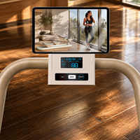 Monte-escalier magnétique Flexihome de haute qualité, pliable et professionnel pour la maison