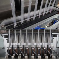 Volledig automatische multilane fruitgelei stick verpakkingsmachine, 8-baans vloeibare ijslolly/ijsstokjes zakjes vul- en verzegelmachine