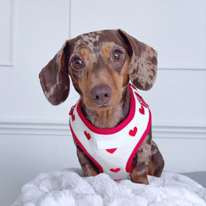 Grosir rompi harnes anjing Set Mode mewah kuat karet dada kucing jejak hewan peliharaan <span class=keywords><strong>Harness</strong></span> wol - Product Image 3