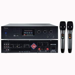 Amplificador de Eco Digital Tianlang KTV-480 con Micrófonos para KTV, Escenarios, Conferencias y Equipos de Audio - Product Image 1