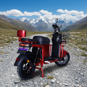 Moto électrique de tourisme haute performance 1500W 72V pour la logistique et la livraison de marchandises, capacité de charge de 200 kg, autonomie de 60-120 km - Product Image 6