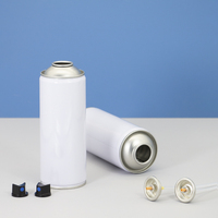 Vente en gros de boîtes en métal aérosol personnalisées de 200 ml pour huile moteur et lubrifiant, système de bouchon en plastique, emballage pour nettoyant