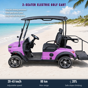 Voiturette de golf compacte 2 places 2430 mm, rayon de braquage 5 m, freinage 4 m pour sentiers étroits et utilisation en extérieur, personnalisation du logo et support de marque - Product Image 1