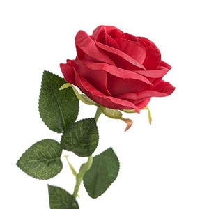 Roses artificielles en tissu de soie Gardenia, rouge, 12 pièces, décoration de mariage, décoration de la maison, bouquet pour la Saint-Valentin - Product Image 5
