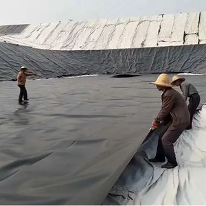 <span class=keywords><strong>Hdpe</strong></span> Geomembranen Voering Voor Boerderij Vijvers Verkrijgbaar In 1Mm 1.5Mm 2Mm Diktes - Product Image 2