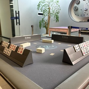 Tavolo da Mahjong Automatico Moderno Minimalista in Plastica Linne Turco-Israelese Dubai Tedesco, Macchina per <span class=keywords><strong>Okey</strong></span> 101, Gioco da Tavolo - Product Image 3