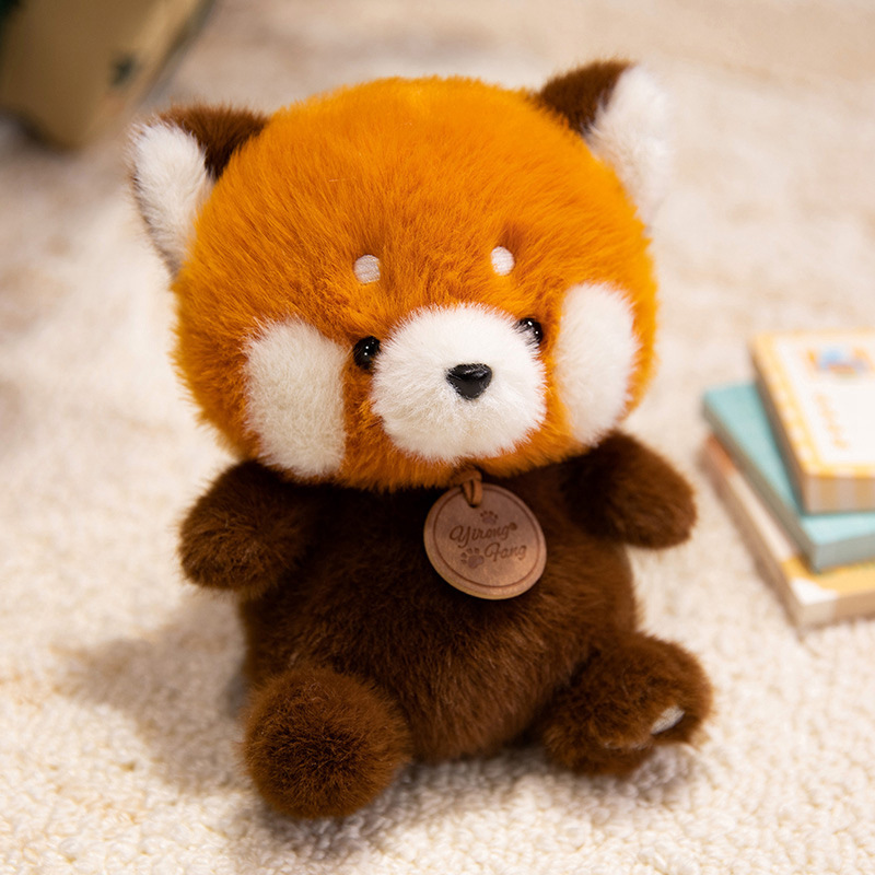 Raccoon