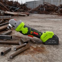 Meuleuse d'angle pour porte en acier massif sur charpente en bois avec attaches et vis