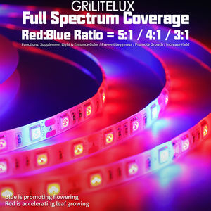 Bande lumineuse pour la croissance des plantes, 60 LED/m, DC12V, PCB 10mm, IP20/IP65, 12-14W/m, 660nm rouge, 450nm bleu, double spectre, ruban LED pour la croissance des plantes - Product Image 4