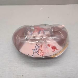 Modelo Anatómico Transparente del Segmento Renal Humano - Herramienta Educativa de <span class=keywords><strong>Nefrología</strong></span> - Product Image 4