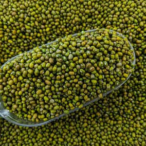 Fresh Indian <b>Green</b> Mung <b>Beans</b> Natural Whole Pulses Premium Export Selection 24 Months Shelf Life Bulk for International Buyers - Product Image 1