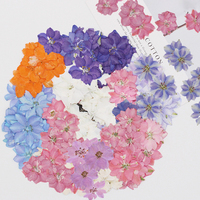 12 Pezzi/Sacchetto Fiori di Delphinium Pressati per Candele e Saponi Fai-da-Te, Fiori Naturali Essiccati Ecologici