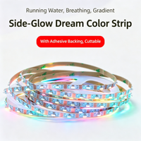 Bande LED T-2K-U 12V à émission latérale, largeur 5mm, couleur intégrale, puce WS2812B 5050, flexible, adressable, programmable, alimentée par USB, en ABS
