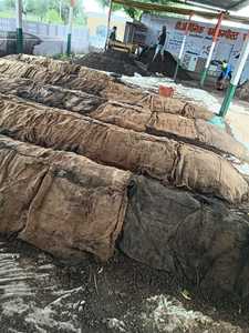 Fertilizante Orgánico de Compost de Vermicompost de Grado Superior, Recién Producido, de Proveedores Agrícolas Indios - Alta Calidad, Calidad de Exportación, Excelente Precio - Product Image 2