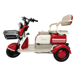 Fabricant chinois fournit des voitures électriques à trois roues les plus vendues pour les particuliers - Product Image 4