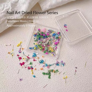 1 Boîte de Fleurs Séchées en Plastique pour Décoration d'Ongles, Couleurs Mixtes, Fleurs Naturelles Réelles, Autocollants DIY pour <span class=keywords><strong>Manucure</strong></span>, Petites Fleurs Fraîches - Product Image 4