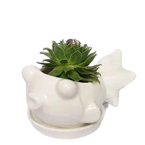 Hand painted White Goldfish Succulent Planter Box Decorative Mini Ceramic Plant Flower Pot Small Animal Planter Box