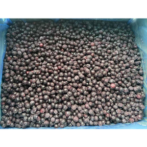 Arándanos Frescos <span class=keywords><strong>Congelados</strong></span> IQF al por Mayor, Certificados por HACCP, Paquete a Granel de 10 kg para la Venta - Product Image 6