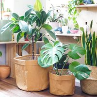 Pots de fleurs en papier kraft pour plantes d'intérieur, sac en papier kraft réutilisable, organisateur et pot de fleurs