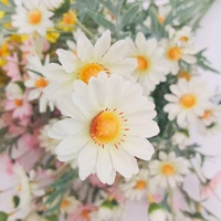 Bunga Daisy Sutra Buatan dengan Batang Panjang 75cm, Krisan Palsu untuk Rangkaian Bunga, Tersedia Kustomisasi Grosir dalam Jumlah Besar.