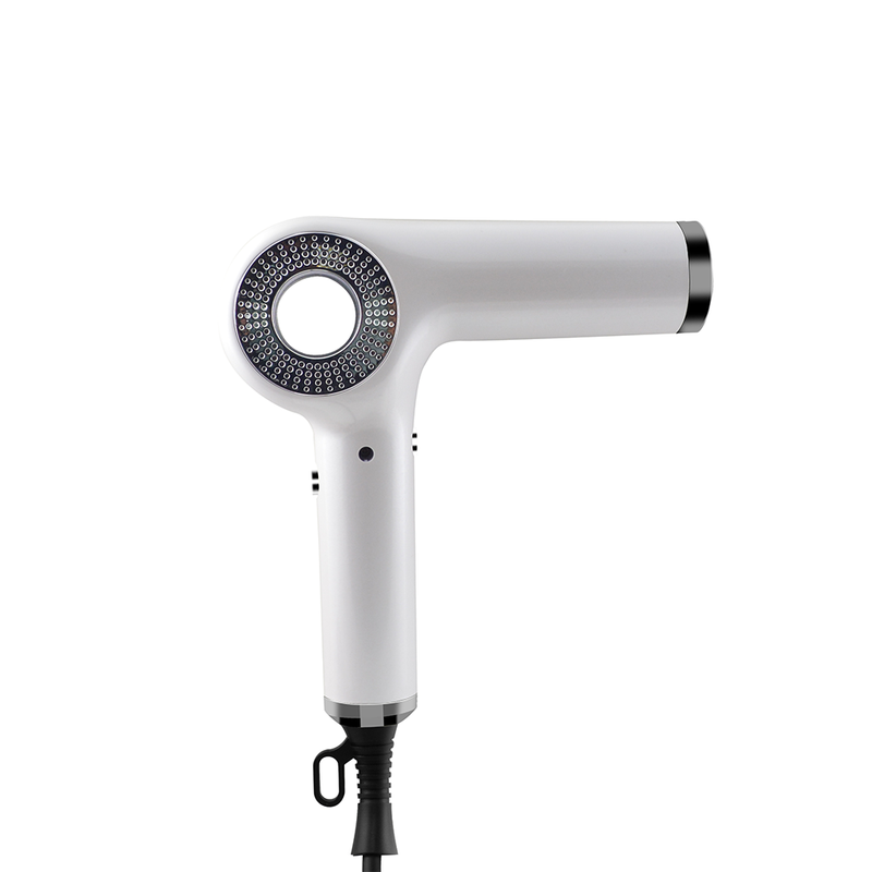 Fast Drying Blow Dryer With 110