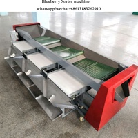 Bosbessen Sorteer-En Sorteermachine, Bosbessenmaat Sorteermachine, Bosbessenkersen Frambozen Sorteermachine Sorteermachine Fruit