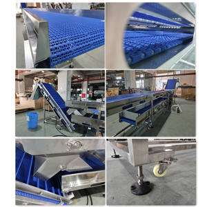 Focusmachines 2024 Nieuw Ontwerp Pp Modulaire Bandmachine Eiertransportband Eierriem - Product Image 3