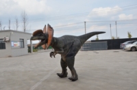 Costume de dragon réaliste grandeur nature pour adulte, costume de dinosaure pour fête, costumes de dinosaures personnalisés