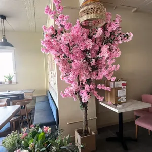 <span class=keywords><strong>Tik</strong></span> <span class=keywords><strong>Tok</strong></span> <span class=keywords><strong>YouTube</strong></span> Instagram Dernières tendances en matière de plantes en pot personnalisées, bonsaï, cerisier artificiel rose et blanc pour la décoration intérieure - Product Image 5