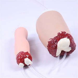 Medische Onderwijsapparatuur Traumamodel Onderste Ledematen Stoppen Met Bloeden Onderste Ledematen Model EHBO Training Medisch Model - Product Image 2