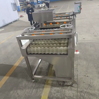 220v/2.6KW Suikerriet Spray Reinigingsmachine Automatische Suikerriet Schil Reinigingsmachine Suikerriet Fruit Wassen Schilmachine