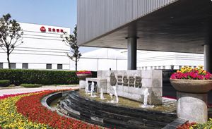 Sanquan <span class=keywords><strong>ซาลาเปา</strong></span>นึ่งไข่และ<span class=keywords><strong>นม</strong></span>สำหรับเด็ก, ขนมปังนึ่งแช่แข็ง-นุ่มฟูนุ่มใส่ในถุง - Product Image 5