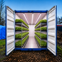 Usine de culture hydroponique verticale de qualité commerciale, prête à l'emploi solaire, pour conteneur de 40 pieds, idéale pour les légumes-feuilles et la laitue bébé