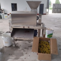 Automatische dubbelkanaals fruitontpitter en -klopmachine, automatische fruit- en groentepulp-residu-scheider