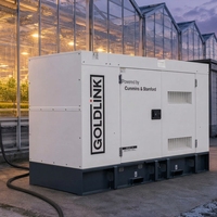 Generator Diesel Goldlink Power Berkualitas Tinggi Super Senyap 63KVA/50KW 240V 1800RPM Bersertifikasi AC Bersertifikasi CE untuk Penggunaan Komersial