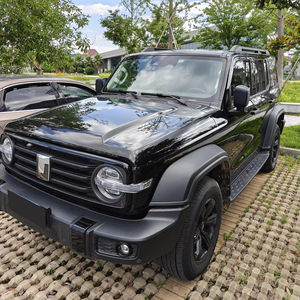 Auto GWM Tank 300 Ibrida Ultra Benzina, SUV per Adulti, Tank 300 Usato Economico, Auto di Seconda Mano in Vendita, Berlina - Product Image 1